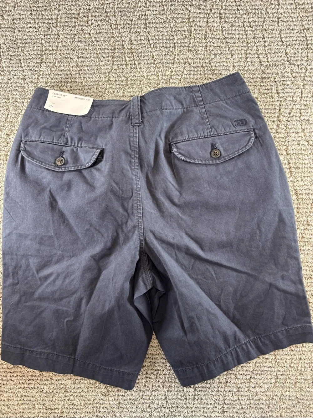 NWT American Eagle Men’s Size 30 Blue-Gray Next Level Flex Shorts